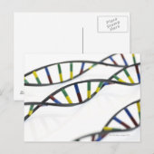DNA-Moleküle (Desoxyribonukleinsäure). Postkarte (Vorne/Hinten)