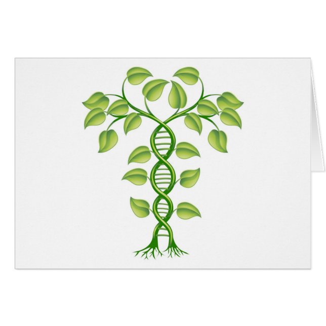 DNA-Pflanzenkonzept (Vorderseite (Horizontal))