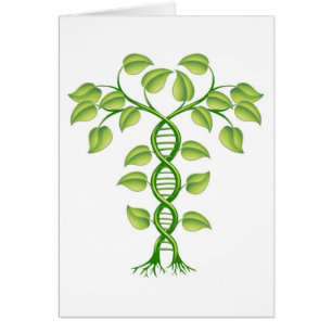 DNA-Pflanzenkonzept