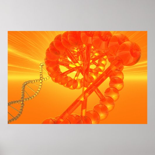 DNA-Plakat Poster (Vorne)