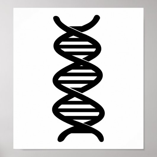 DNA POSTER (Vorne)