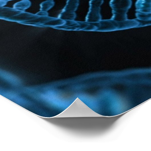 DNA POSTER (Ecke)
