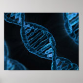 DNA POSTER (Vorne)