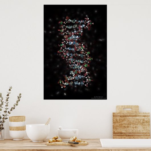 DNA POSTER (Küche)