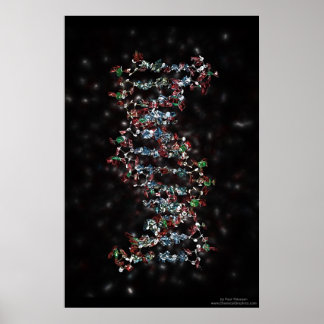 DNA POSTER