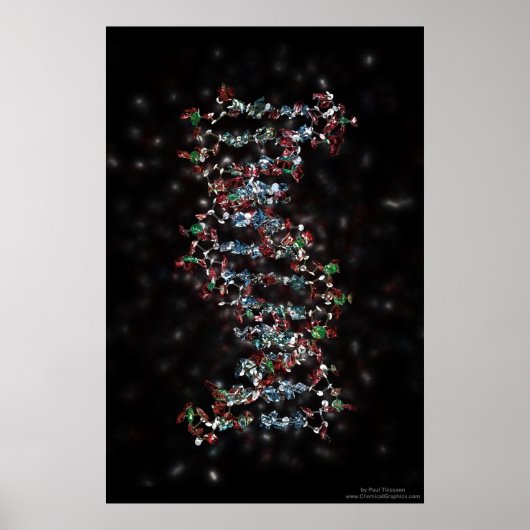 DNA POSTER (Vorne)