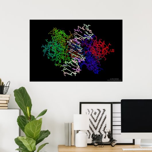 DNA-Proteinkomplex Poster (Heimbüro)