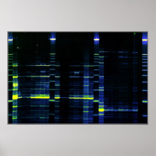 DNA-Sequenzgel 1 Poster