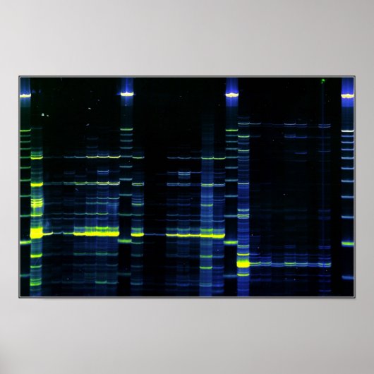 DNA-Sequenzgel 1 Poster (Vorne)