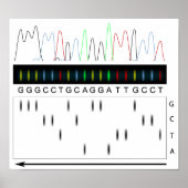 DNA-Sequenzierungspapier Poster (Vorne)