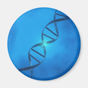 DNA-Strand Magnet