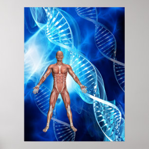 DNA-Strand Poster