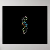 DNA Strand Poster (Vorne)