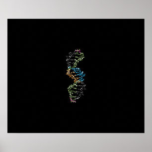 DNA Strand Poster