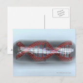 DNA-Strang in einer Kapsel Postkarte (Vorne/Hinten)
