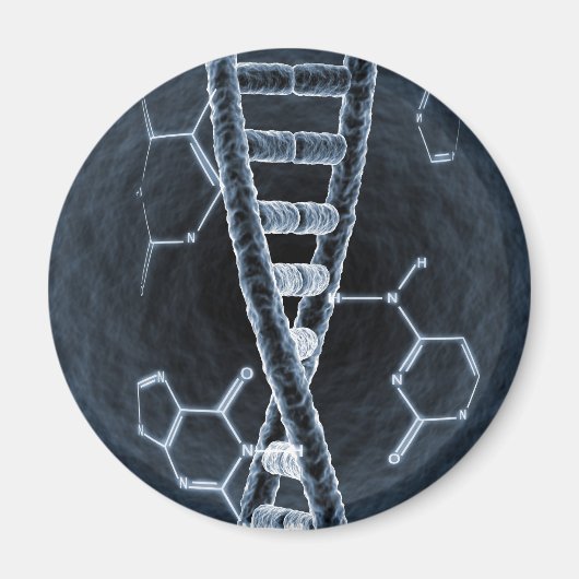 DNA-Strang Magnet (Vorne)