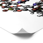 DNA-Struktur Deoxyribonukleinsäure Basen Poster (Ecke)