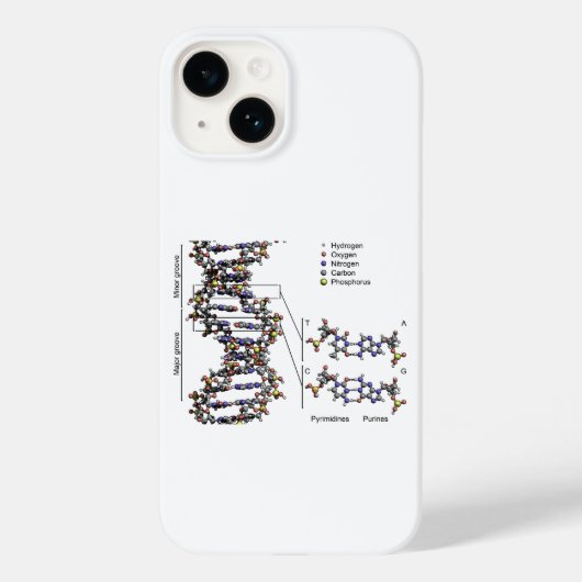 DNA-Struktur Deoxyribonukleinsäure Basendiagramm Case-Mate iPhone Hülle (Rückseite)