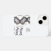 DNA-Struktur Deoxyribonukleinsäure Basendiagramm Case-Mate iPhone Hülle (Rückseite (Horizontal))