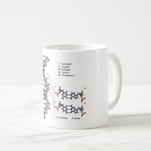 DNA-Struktur Deoxyribonukleinsäure Basendiagramm Kaffeetasse (VorderseiteRechts)