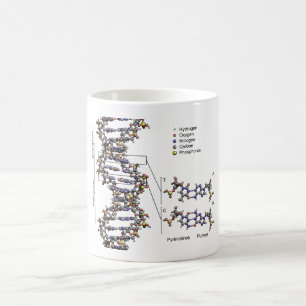 DNA-Struktur Deoxyribonukleinsäure Basendiagramm Kaffeetasse