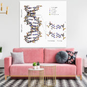 DNA-Struktur Deoxyribonukleinsäure Basendiagramm Leinwanddruck (Insitu (Wohnzimmer))