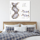 DNA-Struktur Deoxyribonukleinsäure Basendiagramm Leinwanddruck (Insitu (Schlafzimmer))