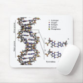 DNA-Struktur Deoxyribonukleinsäure Basendiagramm Mousepad (Mit Mouse)