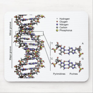 DNA-Struktur Deoxyribonukleinsäure Basendiagramm Mousepad