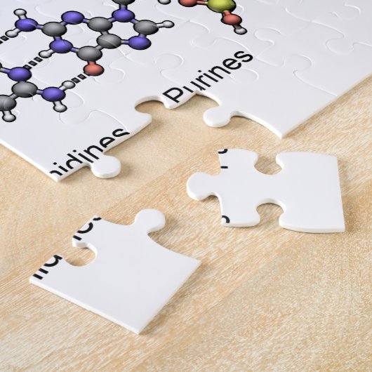 DNA-Struktur Deoxyribonukleinsäure Basendiagramm Puzzle (Seite)