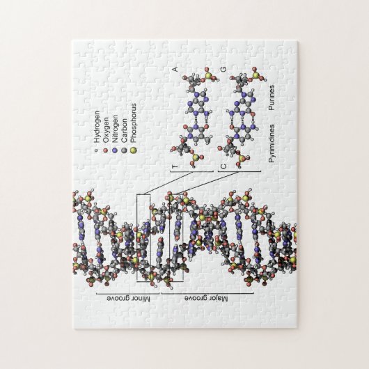 DNA-Struktur Deoxyribonukleinsäure Basendiagramm Puzzle (Vertikal)
