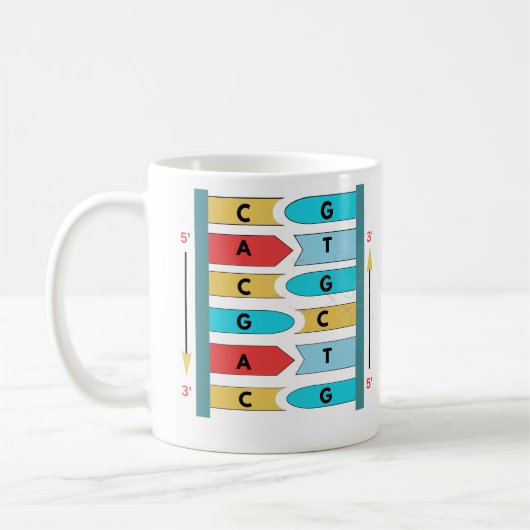 DNA-STRUKTUR KAFFEETASSE (Links)