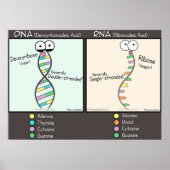 DNA vs RNA Poster (Vorne)