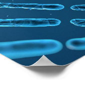 DNA-Wir sind alle ein bisschen verdreht Poster (Ecke)