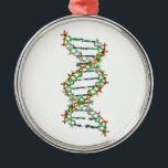 DNA - Wissenschaft/Wissenschaftler/Biologie Silbernes Ornament<br><div class="desc">DNA - Wissenschaft/Wissenschaftler/Biologie</div>