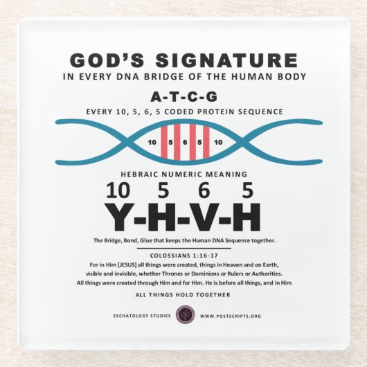 DNA-YHVH-Code Glasuntersetzer (Vorderseite)