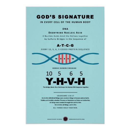 DNA-YHVH-Code Poster (Vorderseite)