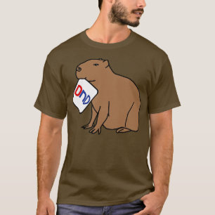 DND Capybara sagen "Nicht stören" Ich bin Gaming T-Shirt