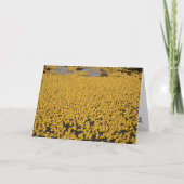 DND Ducks Karte (Vorderseite)