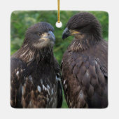 DNN feat. DN17 und DN18 Keramikornament (Rückseite)