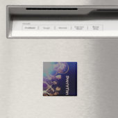 D'n'P-Magnete Magnet (In Situ (Geschirrspüler))