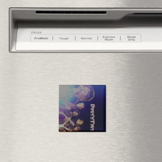 D'n'P-Magnete Magnet (In Situ (Geschirrspüler))