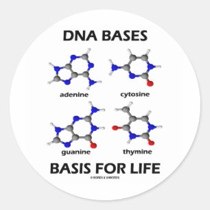 DNS basiert Basis für das Leben (Chemie-Moleküle Runder Aufkleber
