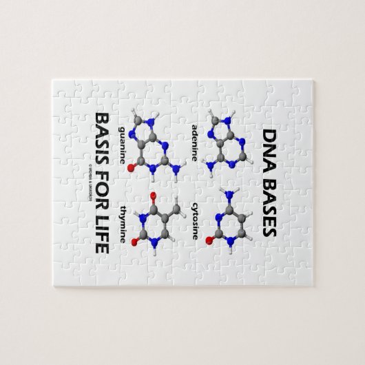 DNS basiert Basis für das Leben (molekulare Puzzle (Horizontal)
