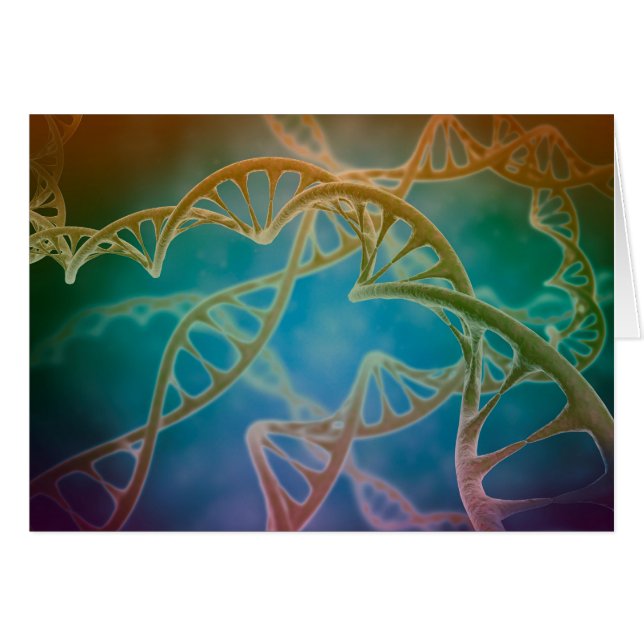 DNS-Bündel (Vorderseite (Horizontal))