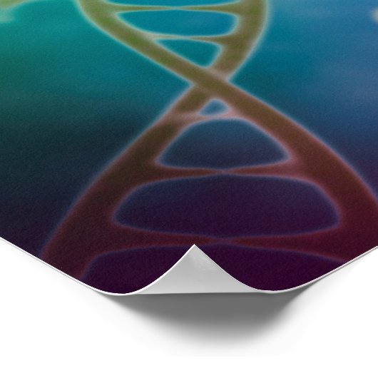 DNS-Bündel Poster (Ecke)