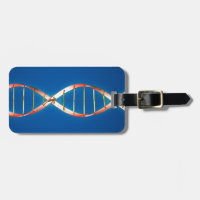 DNS-Doppelhelix