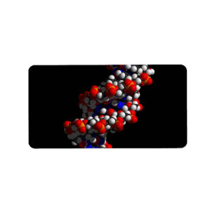 DNS-Doppelhelix-Modell Adressaufkleber