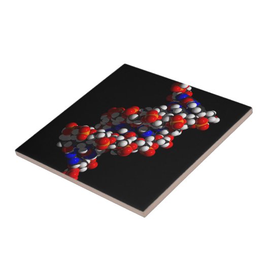 DNS-Doppelhelix-Modell Fliese (Seite)