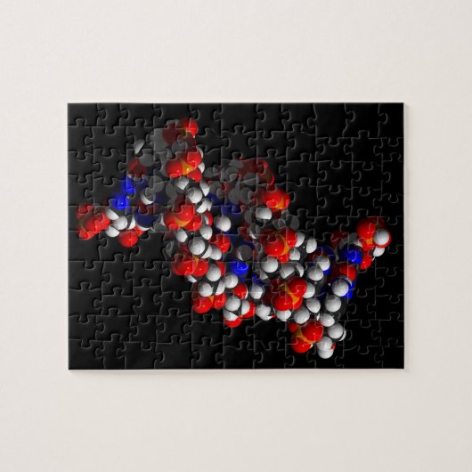 DNS-Doppelhelix-Modell Puzzle (Horizontal)